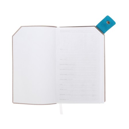 Leduced Diary, 120x200 mm 128 sheets, leatherette, gray block 70 g/m2, lies, refuge with a colored button, sea wave-3