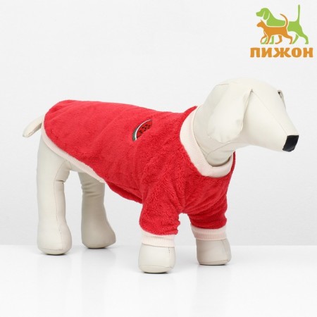 Sweater "Arbuz", velor, size XS (DS 20, Osh 21, OG 30 cm), red