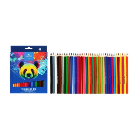 Pencils 36 CB K-I-N 3555 RACOON, hexagon, cards/UP