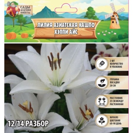 Lilia Asian Kashpo "Happy Ice", district 12/14, 2 pcs, spring 2024