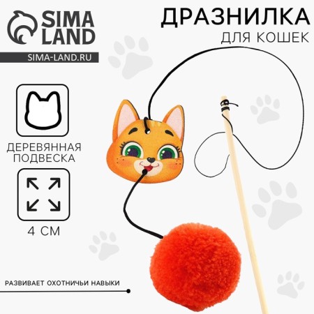 Teaser with wooden suspension "Muzzle", 4 cm