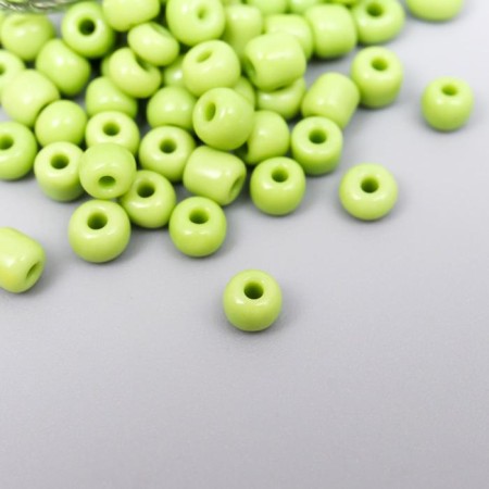 Round beads 6/0 in the bottle "pistachio" 20 g-2