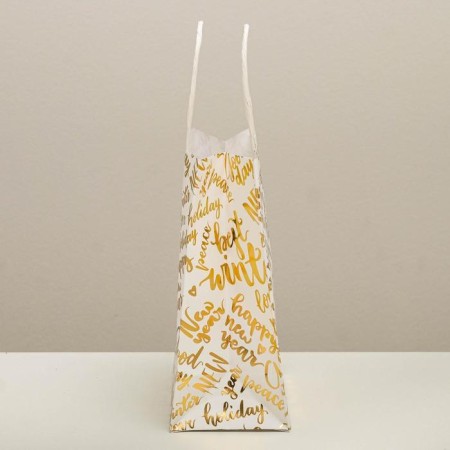 Best Winter Gift Craft Packet, 12 x 21 x 9 cm, New Year-3