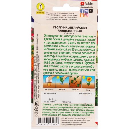 Georgin's flowers "English early -fluent", a mixture of varieties,-1