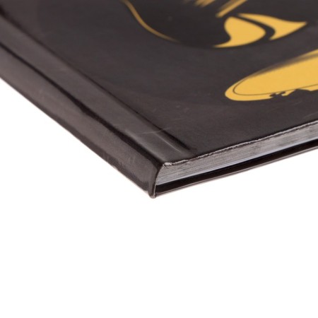 Diary for a music school, "plate flavor", integral (flexible) cover, glossy lamination, 48 sheets-2