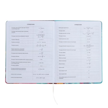 Universal diary for grade 1-11 Candy Cat, hard cover, artificial leather, foam rubber, lies, 80 g/m2-9
