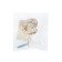 Handle button Art Cappio Ceramics 011, D = 38, ceramic, white with texture