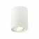 Ceiling lamp ST LUCE. ST108.517.01. 1x50 W, GU10, 9.8x9.8x12.4 cm, white color