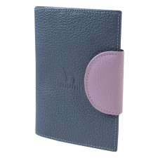 Cover for passport, blue color