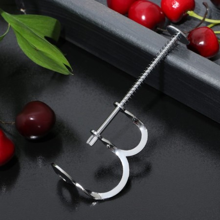 Remote of the bones of the share "amateur", 12.5 cm, silver color