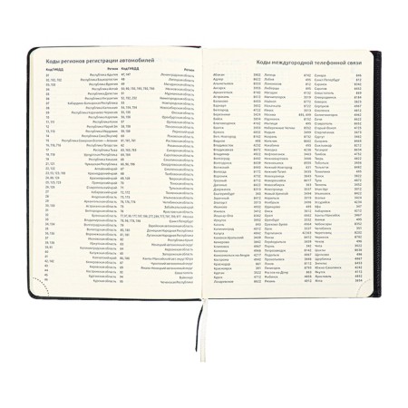 Dated diary 2024 A5 176 sheets, Devente.tudor, solid cover of artificial leather, lies, cream block 70 g/m2, black-14