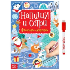 The reusable book with the marker “Write and Style. Winter labyrinths ”, 12 p.