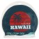 Hat of swimming children's Onlitop Hawaii, silicone, girth 46-52 cm