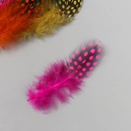 Pen's pen-pheasant "polka dots" set 15 pcs h = 8-13 cm-2