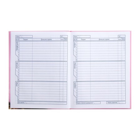 Universal diary for grades 1-11 Milashka, hard cover, matte lamination, 3D foil, 40 sheets-7