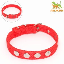 Animal collar