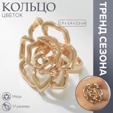 Ring metal 