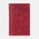 Cover for passport, red color