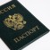 Cover for passport, green color