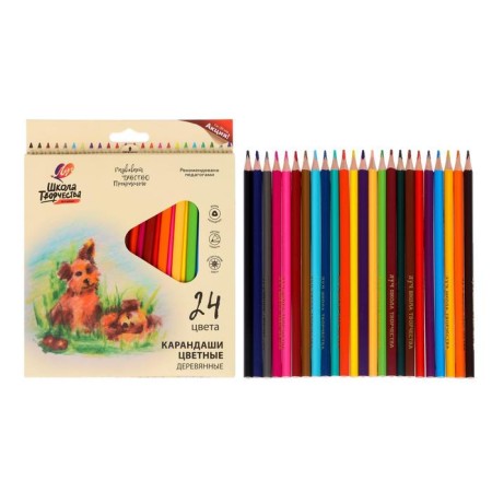 Color pencils 24 colors "School of Creativity", three -sided