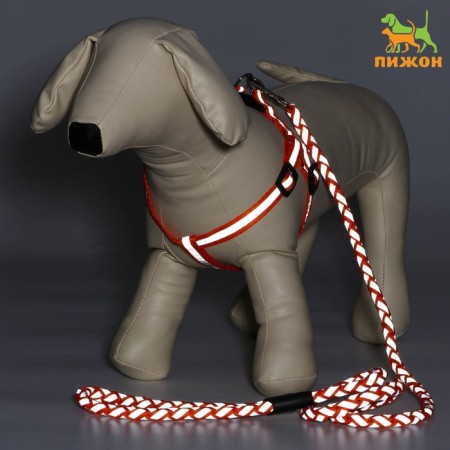 Set "braid", fluorescent, leash 115 x 1 cm, og 32-48 x 1.5 cm, orange