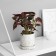 Bonsai in the pot "Singonium premium" (soft sheet) 15x7 cm, mix