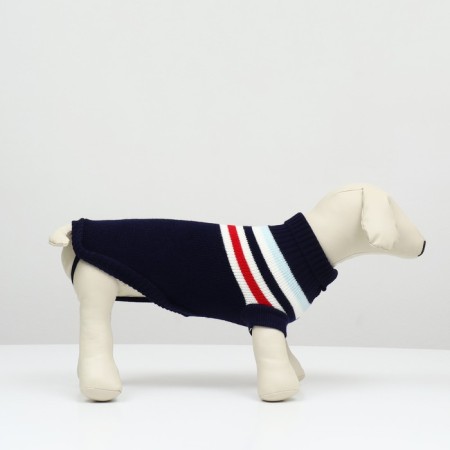 Sweater "stripes", l (ds 29, Osh 29, og 29-49 cm), blue-2