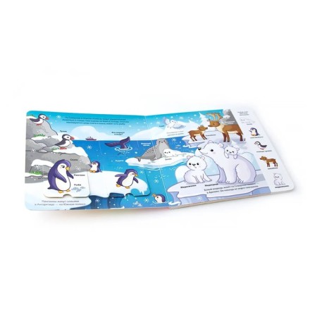 Sea: Book with windows-3