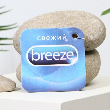 Fragrance in the auto "Extra Freshness", aroma: breeze-1