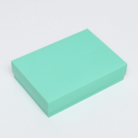 The box is folding, mint, 21 x 15 x 5 cm-1