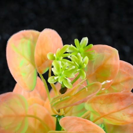 Artificial aquarium plant, 10 cm, green pink-1