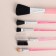 A set of makeup brushes, 5 objects, pink color