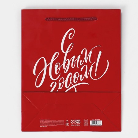 Laminated vertical packet “With a gift for you”, ML 21 x 25 x 8 cm, New Year-6