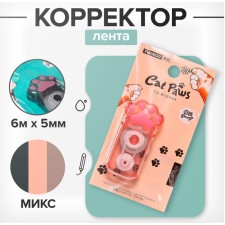 Corrector 6m x 5mm, in a blister, mix