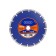 Edge by patriot disk Diamond, segment, universal, dry cut, 180x22.23 mm