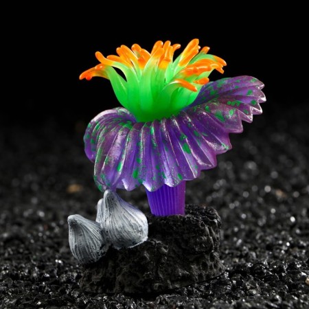 Decor for the aquarium "Coral on the platform" Silicone, 7 x 7 x 8.5 cm, purple-2