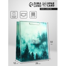 Package Gift Vertical 
