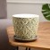 Flower Pot "Fan" yellow bud No. 2 1.31 l