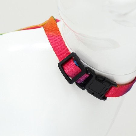 A set for cats "Rainbow", width 1 cm, Osh 16.5-27, OG 21-35 cm, leash 120 cm-4