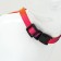 A set for cats "Rainbow", width 1 cm, Osh 16.5-27, OG 21-35 cm, leash 120 cm
