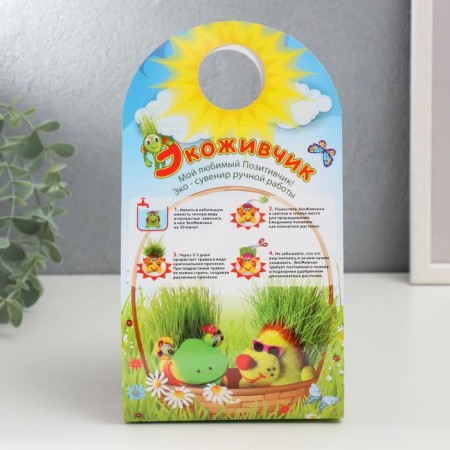 Growing gift Eco -Zhizhivchik "Frog Novik" mix-6