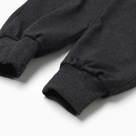 Female sports trousers, gray color, rn 54-2