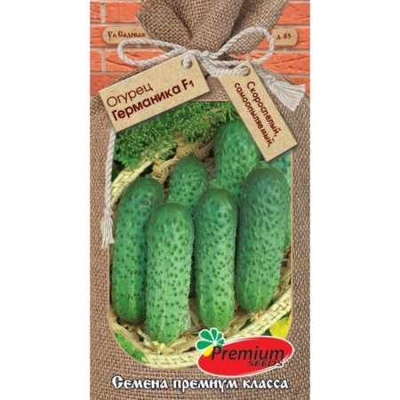 Germanica cucumber seeds F1, early -grown, parthenocarpic, 10pcs