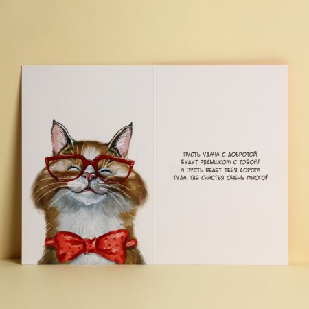 Postcard "Congratulations", good cat, 12 × 18 cm-2