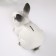 The piggy bank "Rabbit No. 1 is white with black tips" height 14 cm, width 10 cm, length 18 cm.