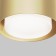 Technical C092CL-GX53-MG, GX53, 1x15 W, 110x110x74 mm, matte gold