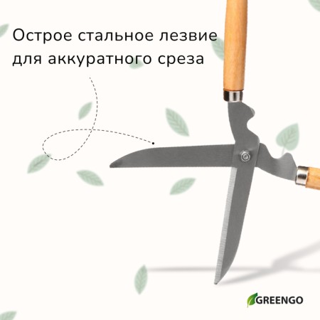 Kustorez, 19 "(48 cm), with wooden handles, Greengo-4