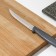 Plenus knife for meat, blade length 12.5 cm