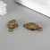 Souvenir brass "Cash toad with coin" set 2 pcs 1.9x3.4 cm