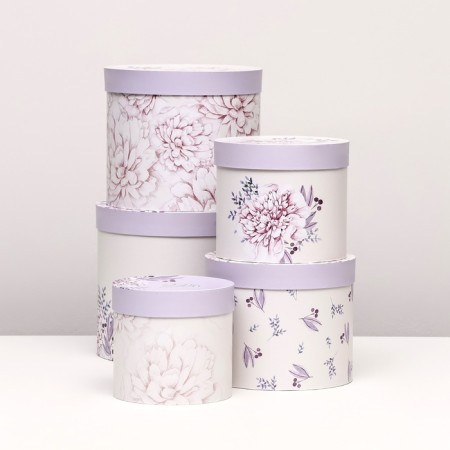 Set of hats 5 in 1 "Astra" lilac, 22 x 19.5, 14 x 13 cm